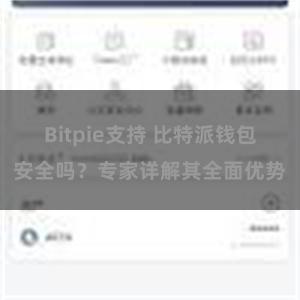 Bitpie支持 比特派钱包安全吗？专家详解其全面优势