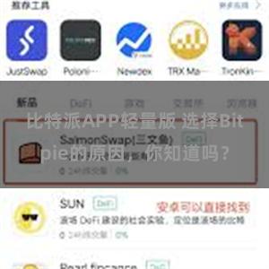 比特派APP轻量版 选择Bitpie的原因，你知道吗？