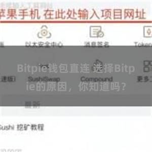 Bitpie钱包直连 选择Bitpie的原因，你知道吗？