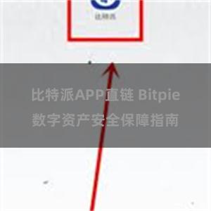 比特派APP直链 Bitpie数字资产安全保障指南