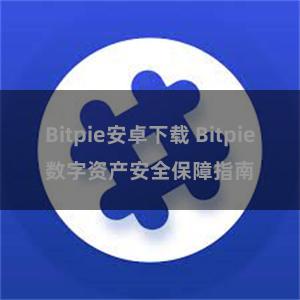 Bitpie安卓下载 Bitpie数字资产安全保障指南