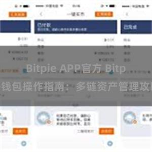 Bitpie APP官方 Bitpie钱包操作指南：多链资产管理攻略