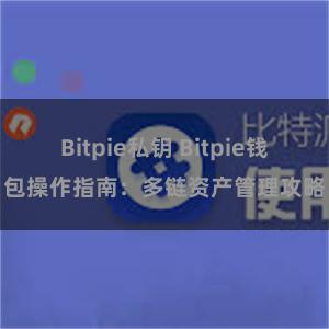 Bitpie私钥 Bitpie钱包操作指南：多链资产管理攻略