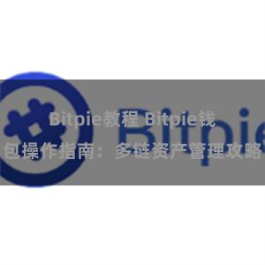 Bitpie教程 Bitpie钱包操作指南：多链资产管理攻略