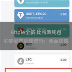 Bitpie全新 比特派钱包多链资产管理技巧：全面攻略