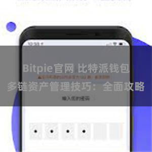 Bitpie官网 比特派钱包多链资产管理技巧：全面攻略