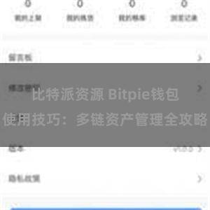 比特派资源 Bitpie钱包使用技巧：多链资产管理全攻略