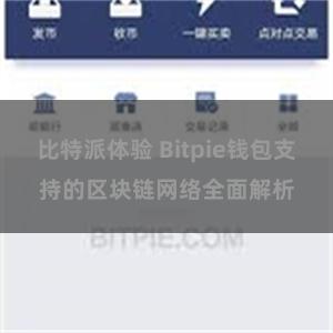 比特派体验 Bitpie钱包支持的区块链网络全面解析