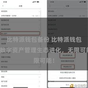 比特派钱包备份 比特派钱包：数字资产管理生态进化，无限可能！