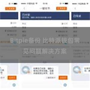 Bitpie备份 比特派钱包常见问题解决方案