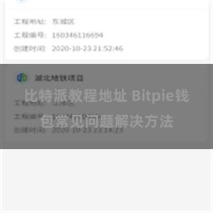 比特派教程地址 Bitpie钱包常见问题解决方法