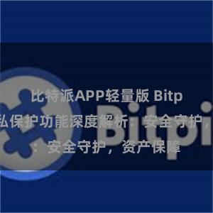 比特派APP轻量版 Bitpie钱包隐私保护功能深度解析：安全守护，资产保障