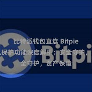 比特派钱包直连 Bitpie钱包隐私保护功能深度解析：安全守护，资产保障