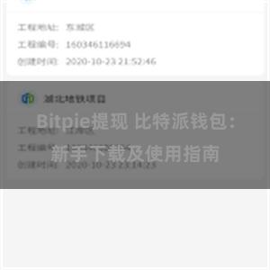 Bitpie提现 比特派钱包：新手下载及使用指南