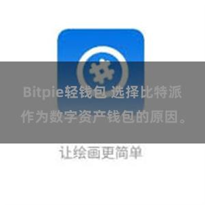 Bitpie轻钱包 选择比特派作为数字资产钱包的原因。