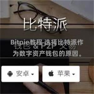 Bitpie教程 选择比特派作为数字资产钱包的原因。