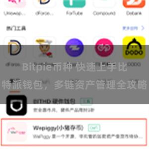 Bitpie币种 快速上手比特派钱包，多链资产管理全攻略