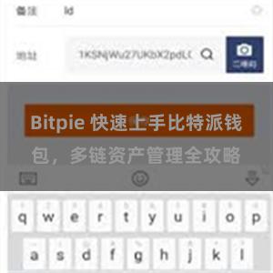 Bitpie 快速上手比特派钱包，多链资产管理全攻略