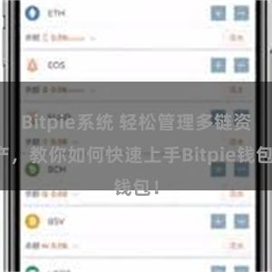 Bitpie系统 轻松管理多链资产，教你如何快速上手Bitpie钱包！