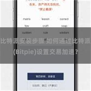 比特派安装步骤 如何通过比特派(Bitpie)设置交易加速？