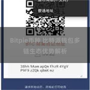 Bitpie币种 比特派钱包多链生态优势解析