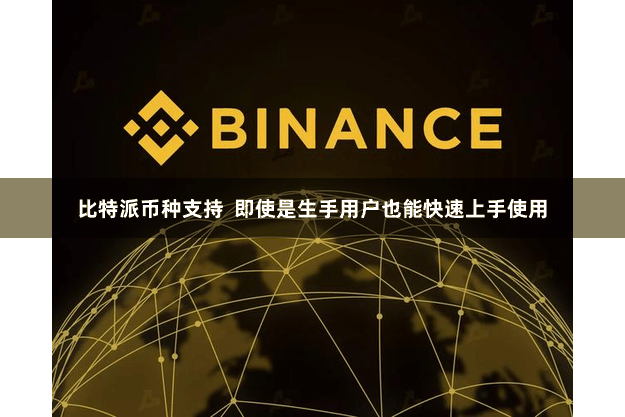 比特派币种支持  即使是生手用户也能快速上手使用