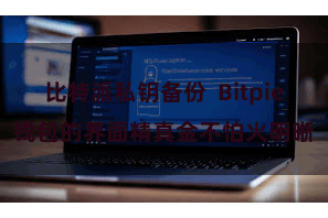 比特派私钥备份 Bitpie钱包的界面精真金不怕火明晰