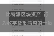 比特派区块资产  行为数字货币鸿沟的一员
