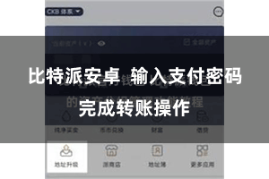比特派安卓  输入支付密码完成转账操作