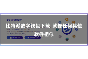 比特派数字钱包下载  就像任何其他软件相似